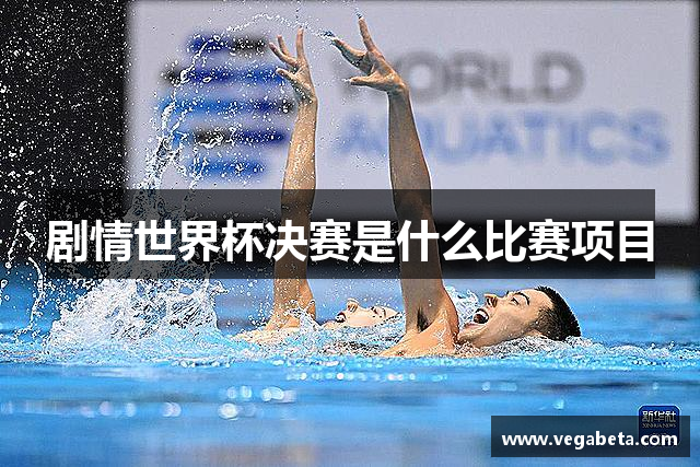 剧情世界杯决赛是什么比赛项目